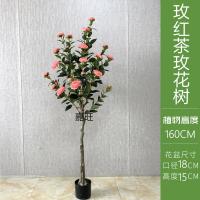 XU0612679